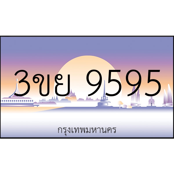 3ขย 9595